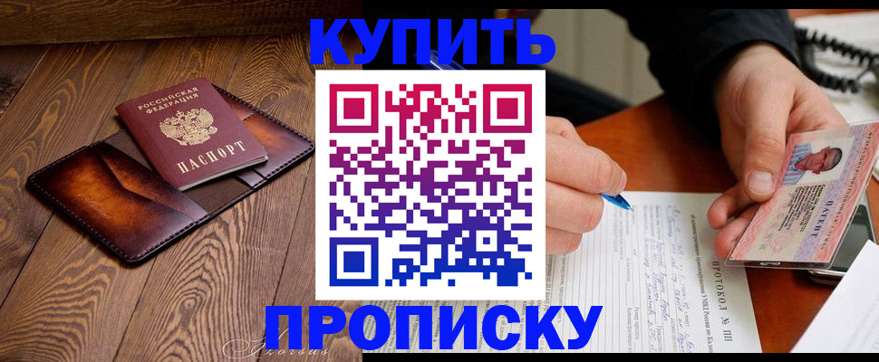 прописка 2025 в Мончегорске